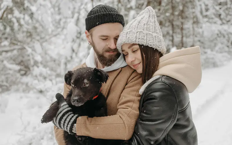 blowing snow overlay, christmas snow overlay, white snow overlay, snowy window overlay