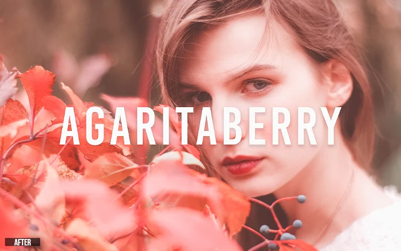 agaritaberry