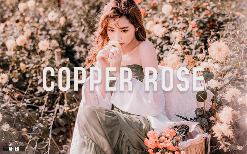 copper rose