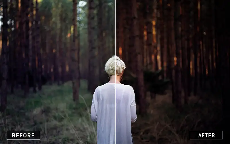 Autumn Photoshop Actions Preview, Seasonal Actions for Photos