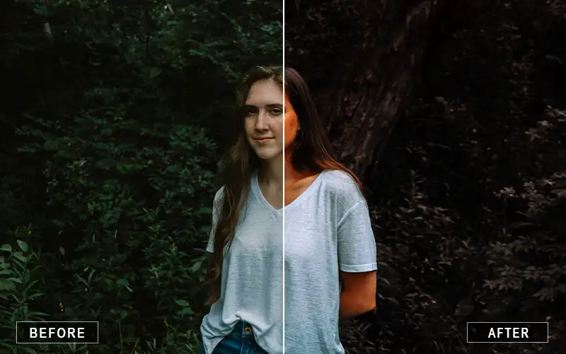 Cinnamon Fall Photoshop Action