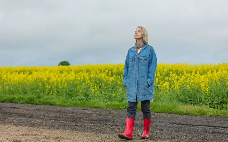 rainbow effects, photo overlays, colorful light overlays