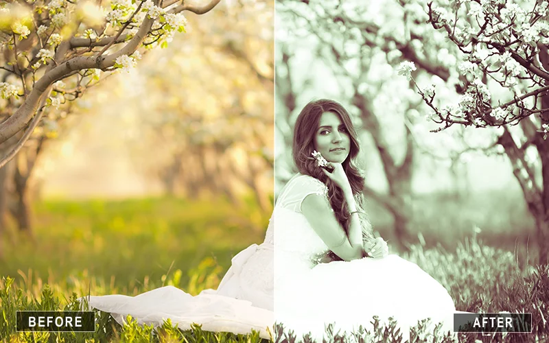 vibrant black and white lightroom presets, moody black and white lightroom presets