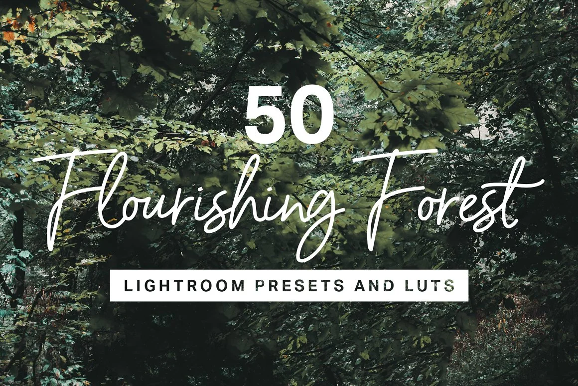 forest lightroom presets