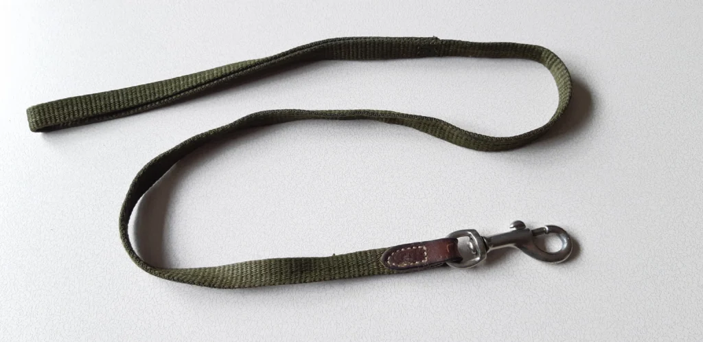 Dog lead for the device