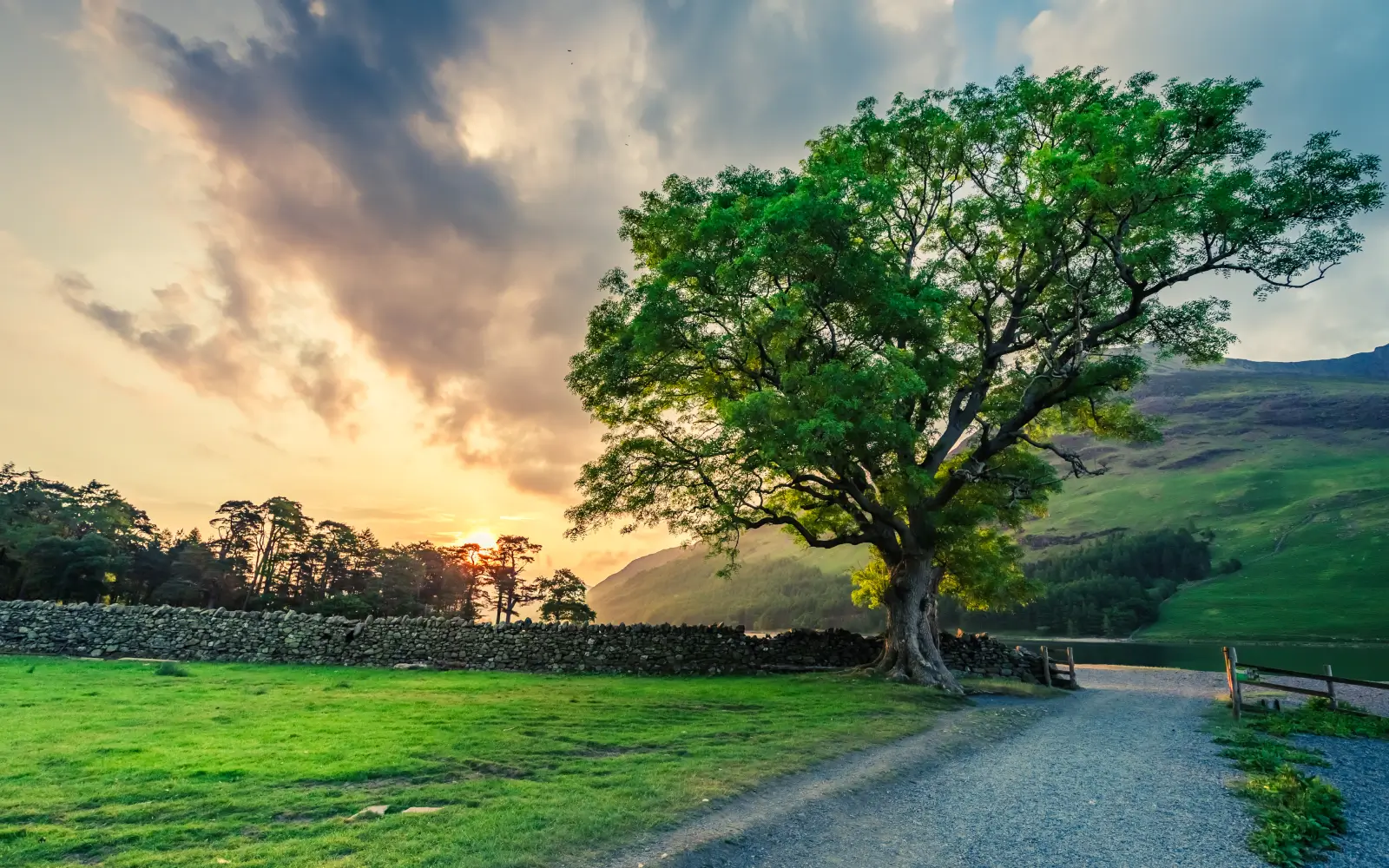 landscape effect - before