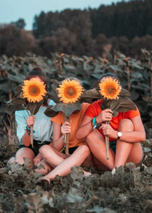 sunflower field photoshoot - 3 girls posing