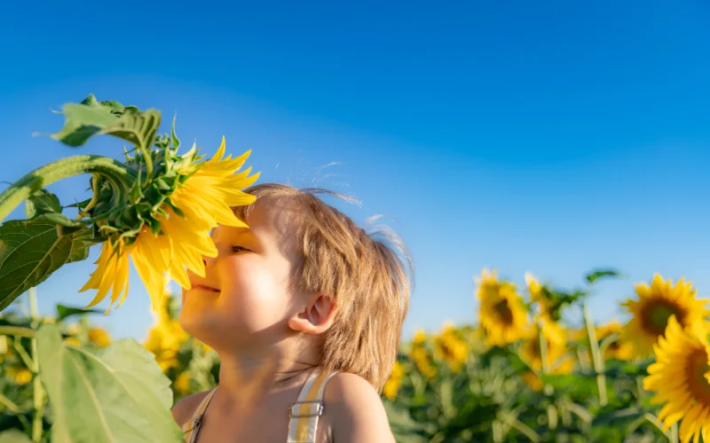 sunflower scent pose