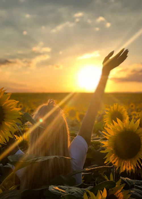 sunflower field photoshoot ideas