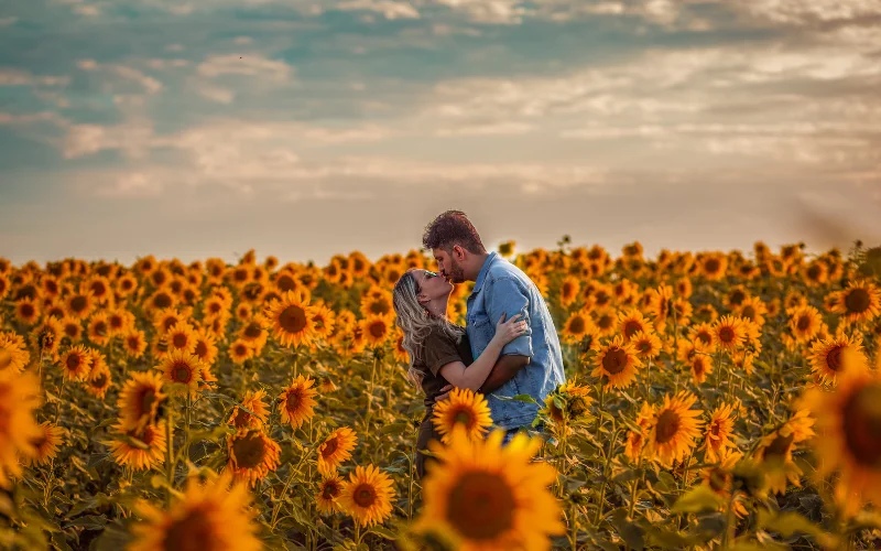 a couple kissing in the middle of a sunflower field