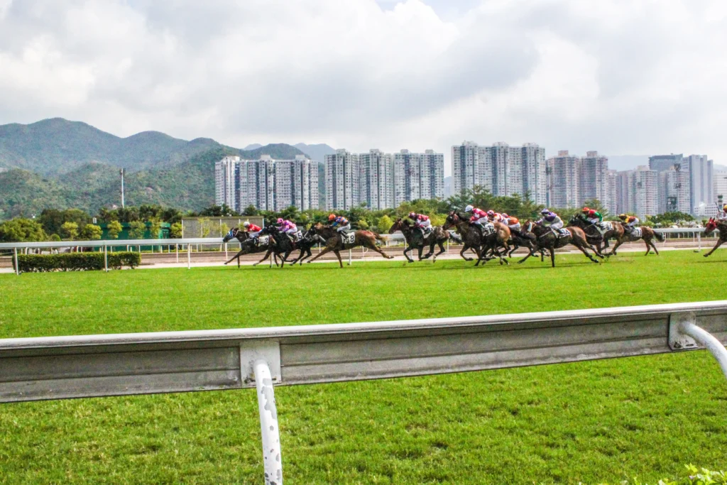 Shutter speed making horses look stationary