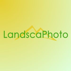 Landscphoto- vendor image