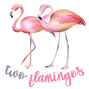 Two Flamingos Shop