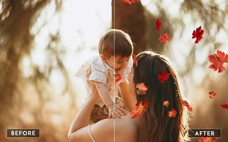 Falling leaves overlays