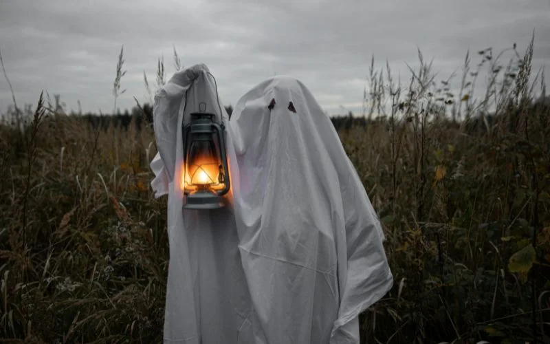 dress up as a ghost