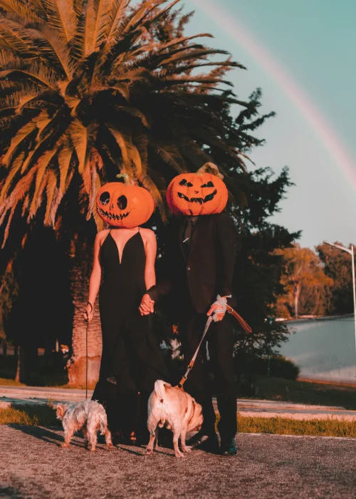 couple posing with pumpkin heads with pets