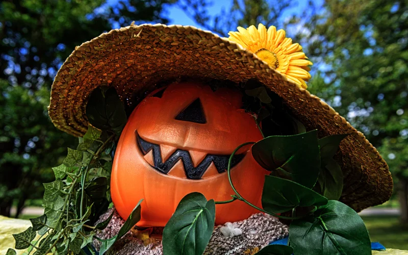 pumpkin decorated with a hat