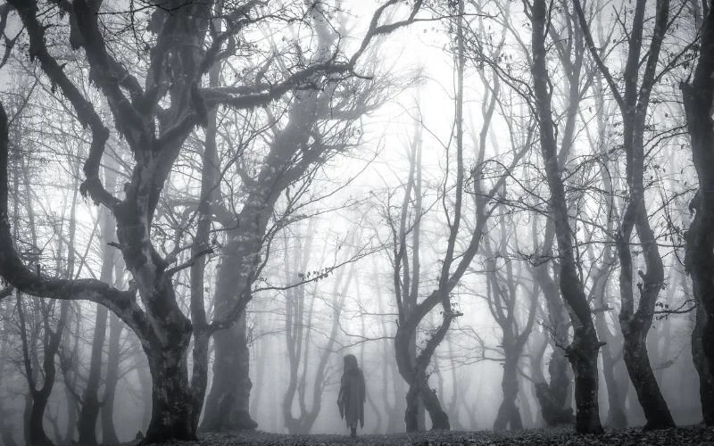 take silhouette shots