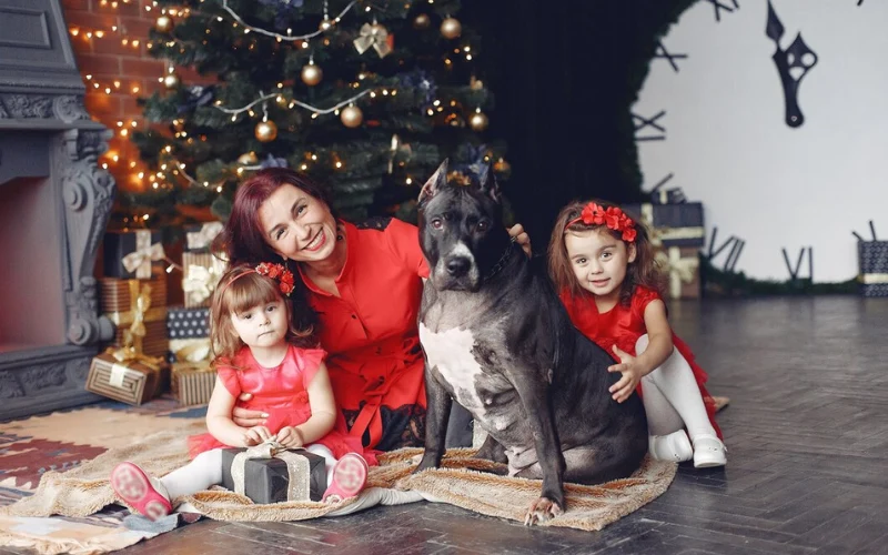 Family Christmas Shoot with Pets