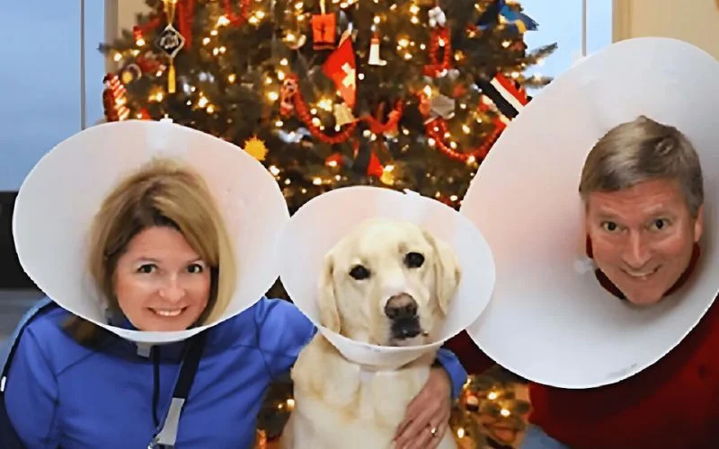 awkward family christmas photos