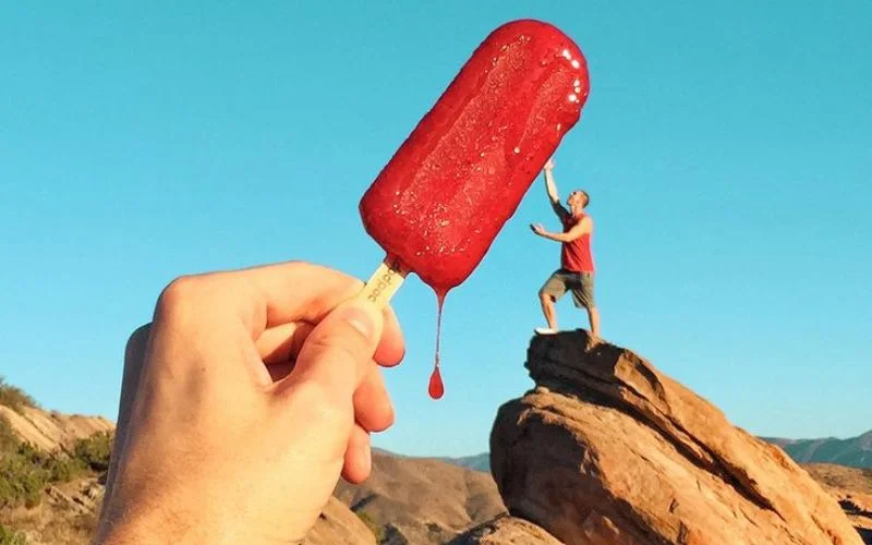 role of light and composition