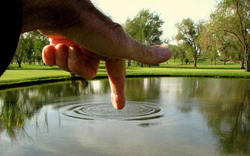 optical image example