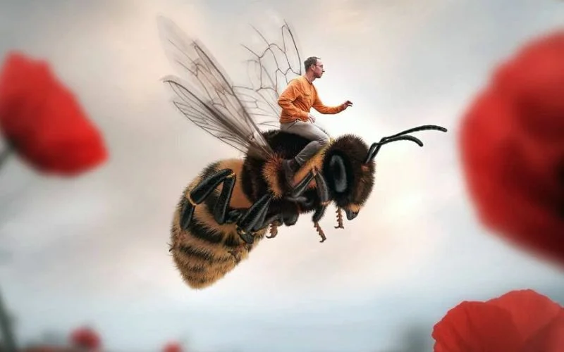 miniature worlds photo manipulation ideas