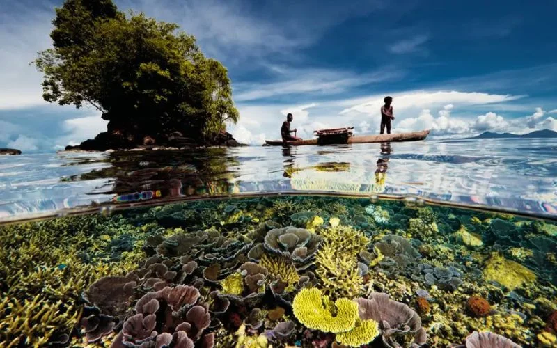 combine two worlds in one pic