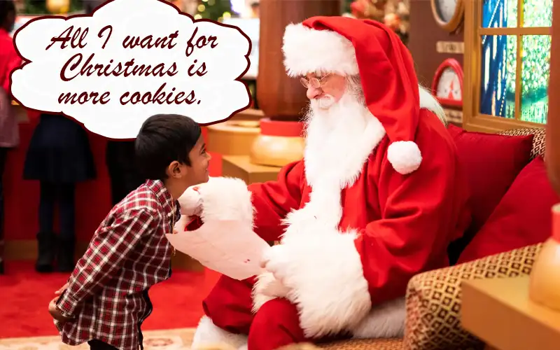 Funny Christmas Photo Caption