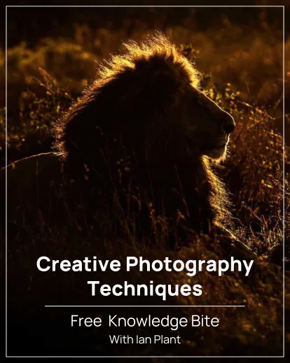 photography freebies, Creative Photography Techniques