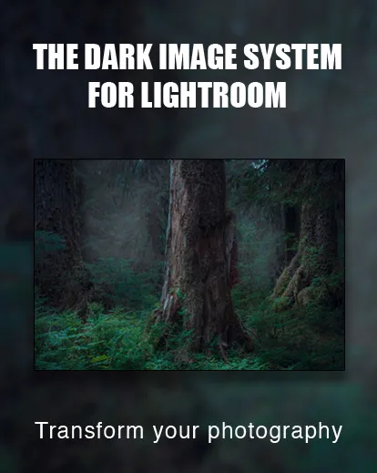 lightroom bundle, lightroom editing course banner, photography course online, digital photography course, best photography deals