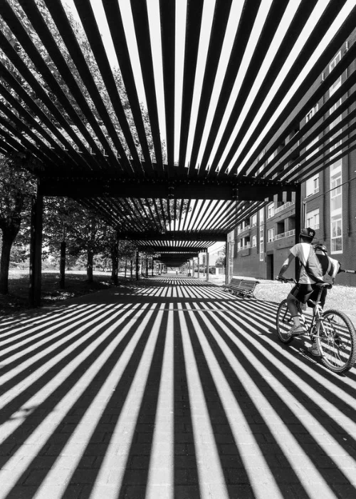 Shadow Pattern Photography