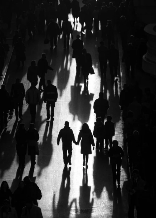 Shadow Photography Story