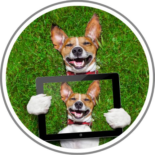 profile picture ideas funny