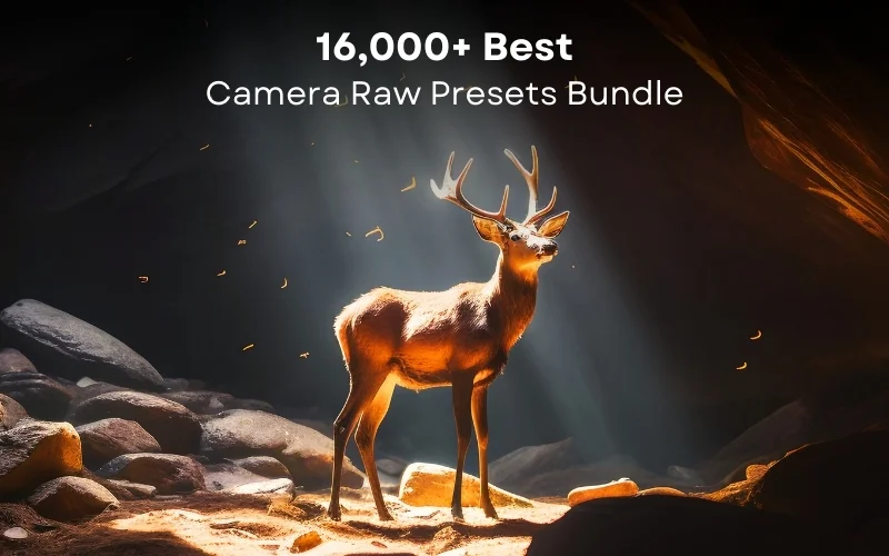 Adobe Camera Raw presets, ACR presets for photographers, best Camera Raw presets, best ACR presets, ACR presets