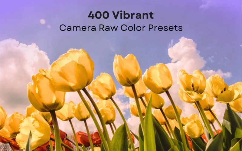 Adobe Camera Raw presets, ACR presets for photographers, best Camera Raw presets, best ACR presets, ACR presets