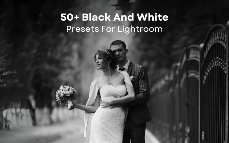 Adobe Lightroom addons, best Lightroom add ons, Adobe Lightroom presets, Lightroom presets, presets for Lightroom, Lightroom resources