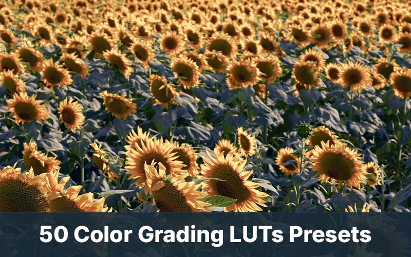 color grading luts for affinity photo