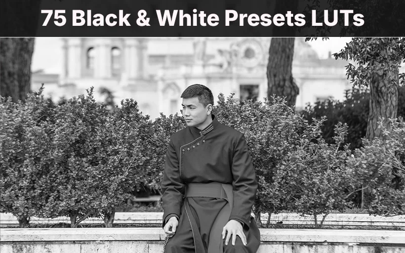 black and white luts for affinity photo