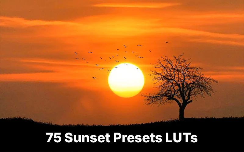 effects for sunset photography