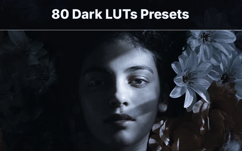 dark luts for affinity photo