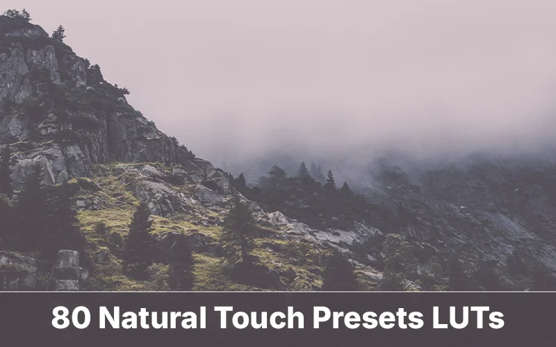 effects for nature photography