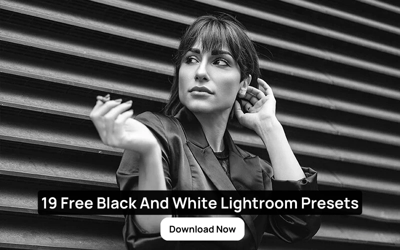 free black and white presets