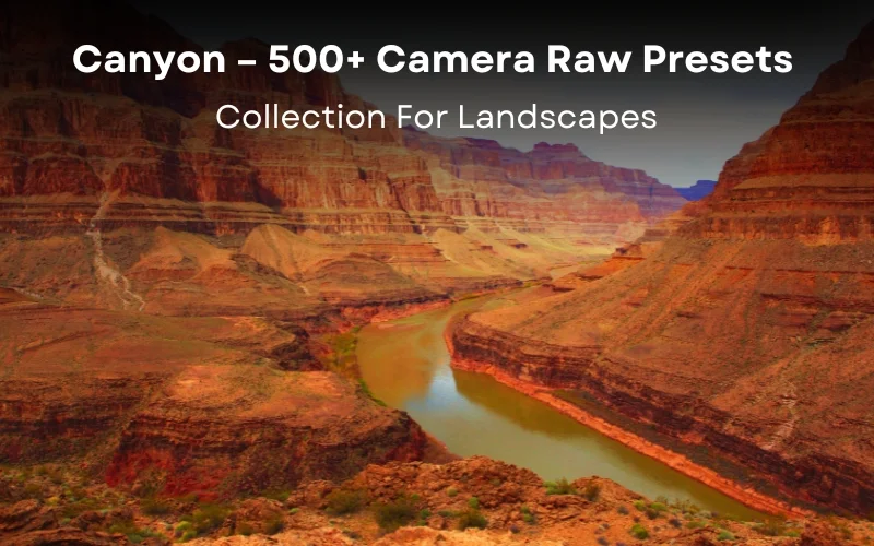 Adobe Camera Raw presets, ACR presets for photographers, best Camera Raw presets, best ACR presets, ACR presets