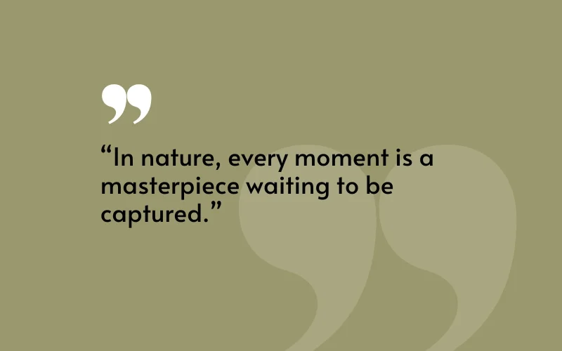 Composition Photography Quotes, famous photographer quotes, aesthetic photography quote, quotes for photography