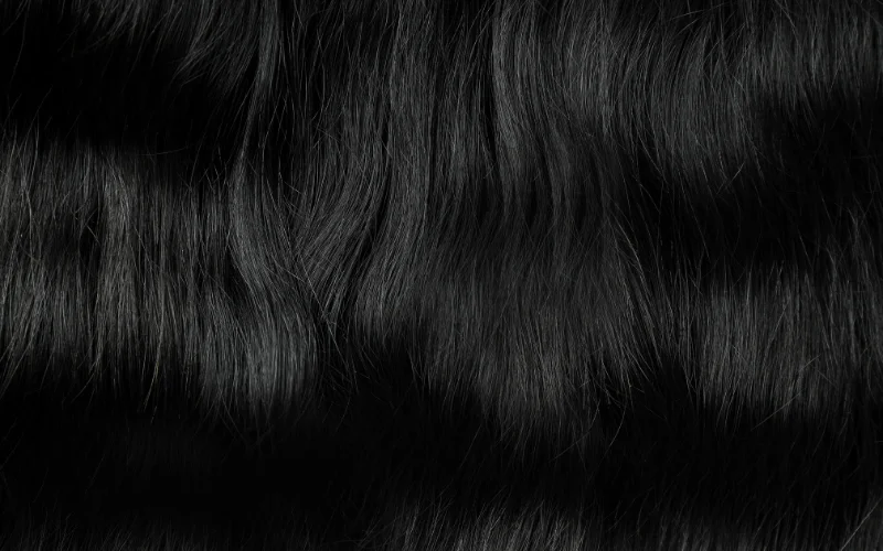 photo of beard and hair