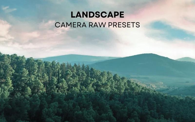 Adobe Camera Raw presets, ACR presets for photographers, best Camera Raw presets, best ACR presets, ACR presets