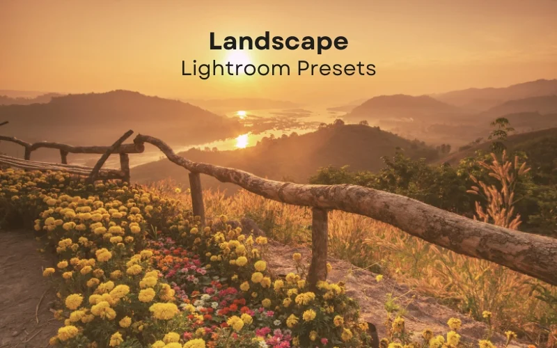 Adobe Lightroom addons, best Lightroom add ons, Adobe Lightroom presets, Lightroom presets, presets for Lightroom, Lightroom resources