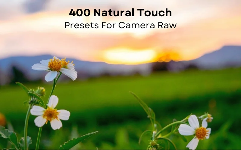 Adobe Camera Raw presets, ACR presets for photographers, best Camera Raw presets, best ACR presets, ACR presets