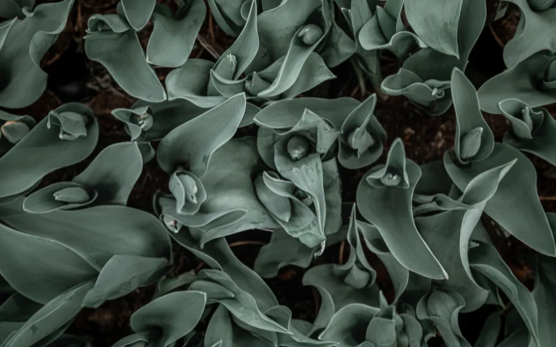 what are textures in photography